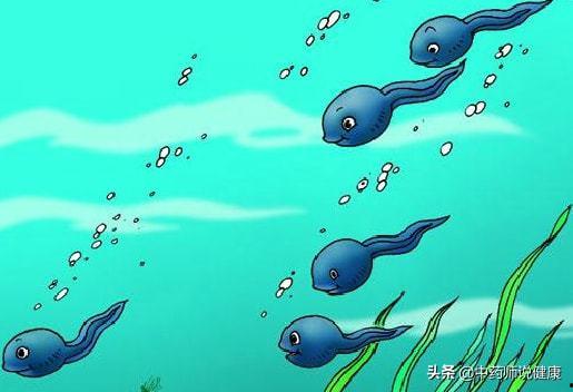 国产区小蝌蚪视频大全,精彩纷呈的国产影视盛宴