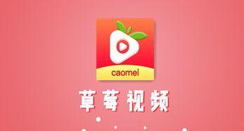 国产草莓视频大全集下载,国产草莓视频大全集下载攻略