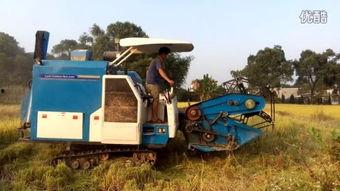 现代国产收割机视频播放,视频揭秘高效农业机械化进程