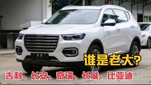 国产汽车大佬是谁啊视频,大佬风采