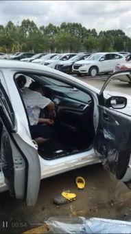 国产哪些车停厂了呢视频