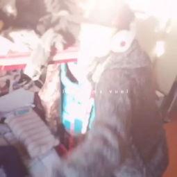 sm国产短视频,SM风潮下的创意与魅力展现