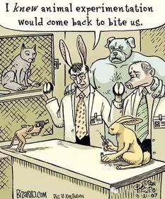 国产动漫里的人生哲理视频,国产动漫人生哲理启示录