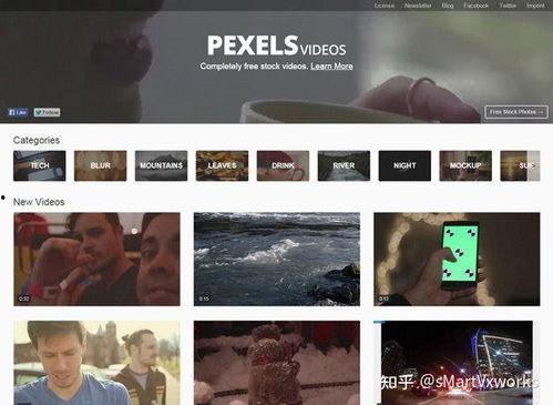 真的国产经典网站视频,重温岁月记忆，探寻网络文化瑰宝