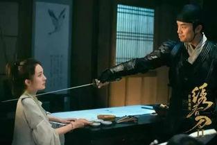 国产烂剧洗钱视频播放大全,视频播放量背后的惊人真相  第3张