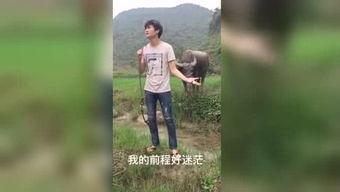 国产a福利视频